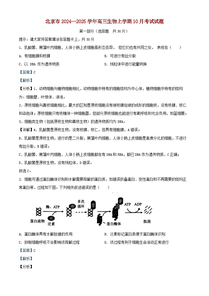 北京市2024_2025学年高三生物上学期10月考试试题含解析第1页