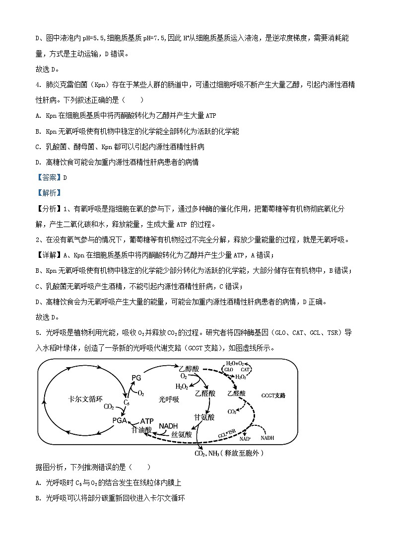 北京市2024_2025学年高三生物上学期10月考试试题含解析第3页
