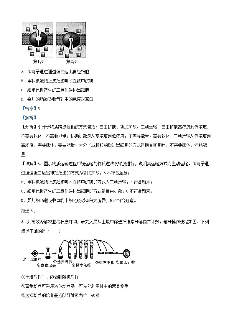广东省2024_2025学年高三生物上学期9月联考试题含解析第2页