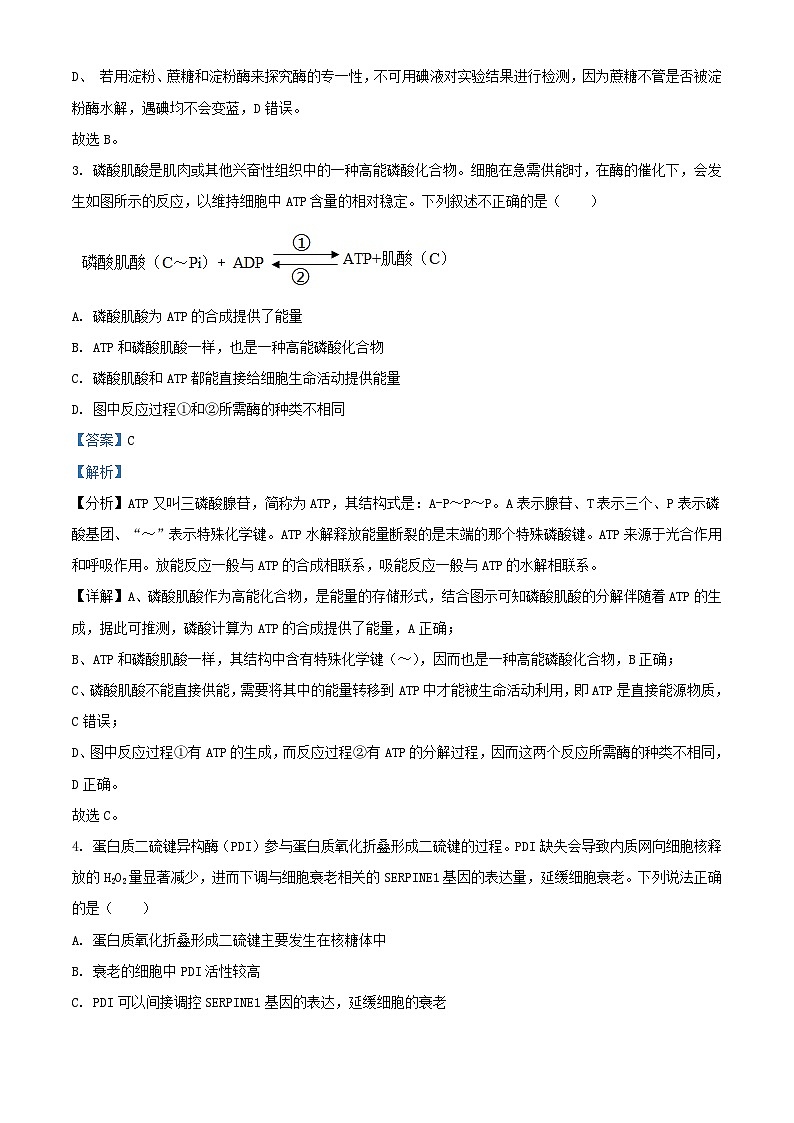 广东省揭阳市2024_2025学年高三生物上学期9月月考试题含解析第2页
