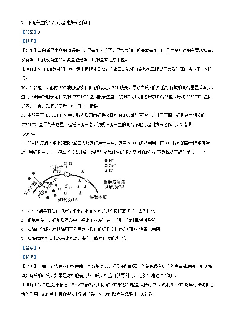 广东省揭阳市2024_2025学年高三生物上学期9月月考试题含解析第3页