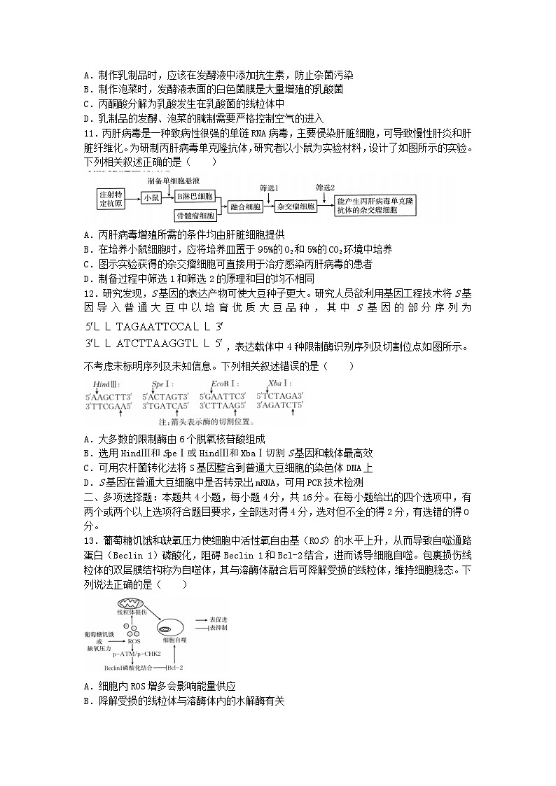 江西枢校联考2024_2025学年高三生物上学期10月月考试题第3页