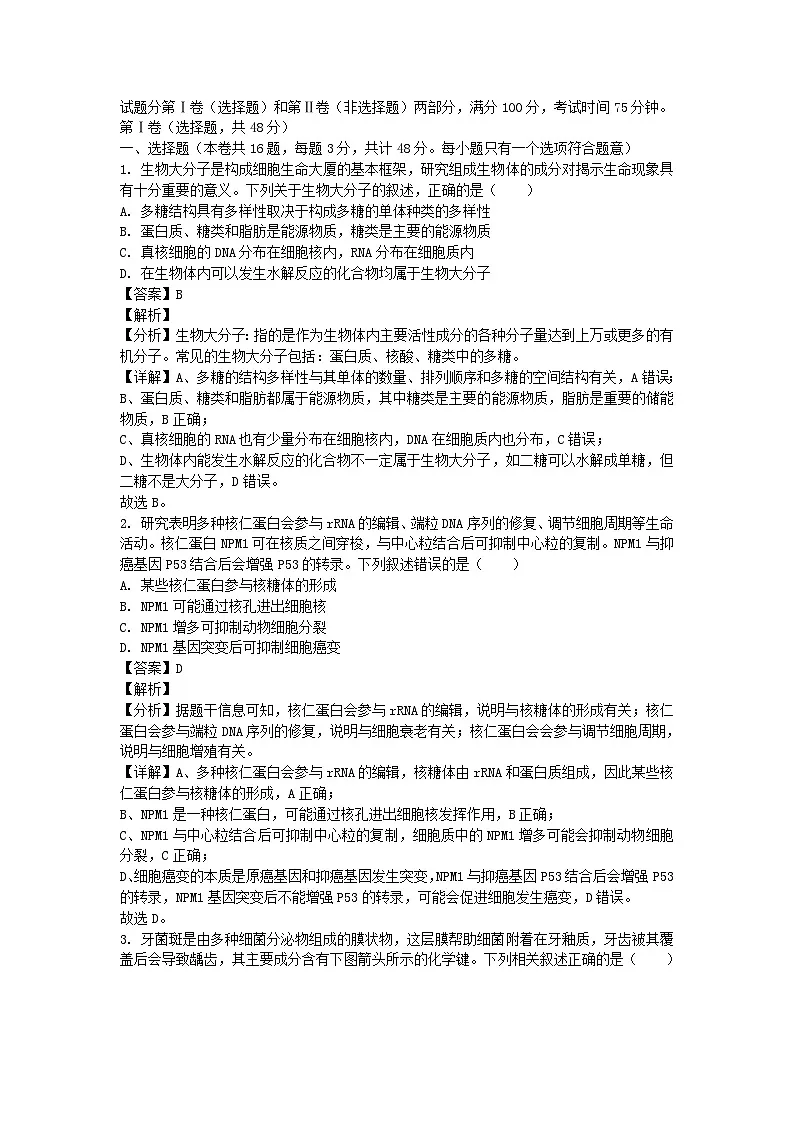 四川省成都市2024_2025学年高三生物上学期10月月考试题含解析 (1)第1页