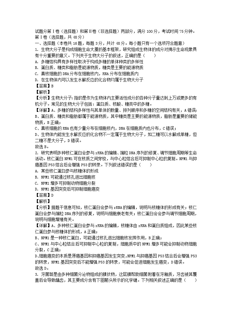 四川省成都市2024_2025学年高三生物上学期10月月考试题含解析 (1)第1页
