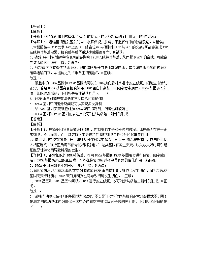 四川省成都市2024_2025学年高三生物上学期10月月考试题含解析 (1)第3页
