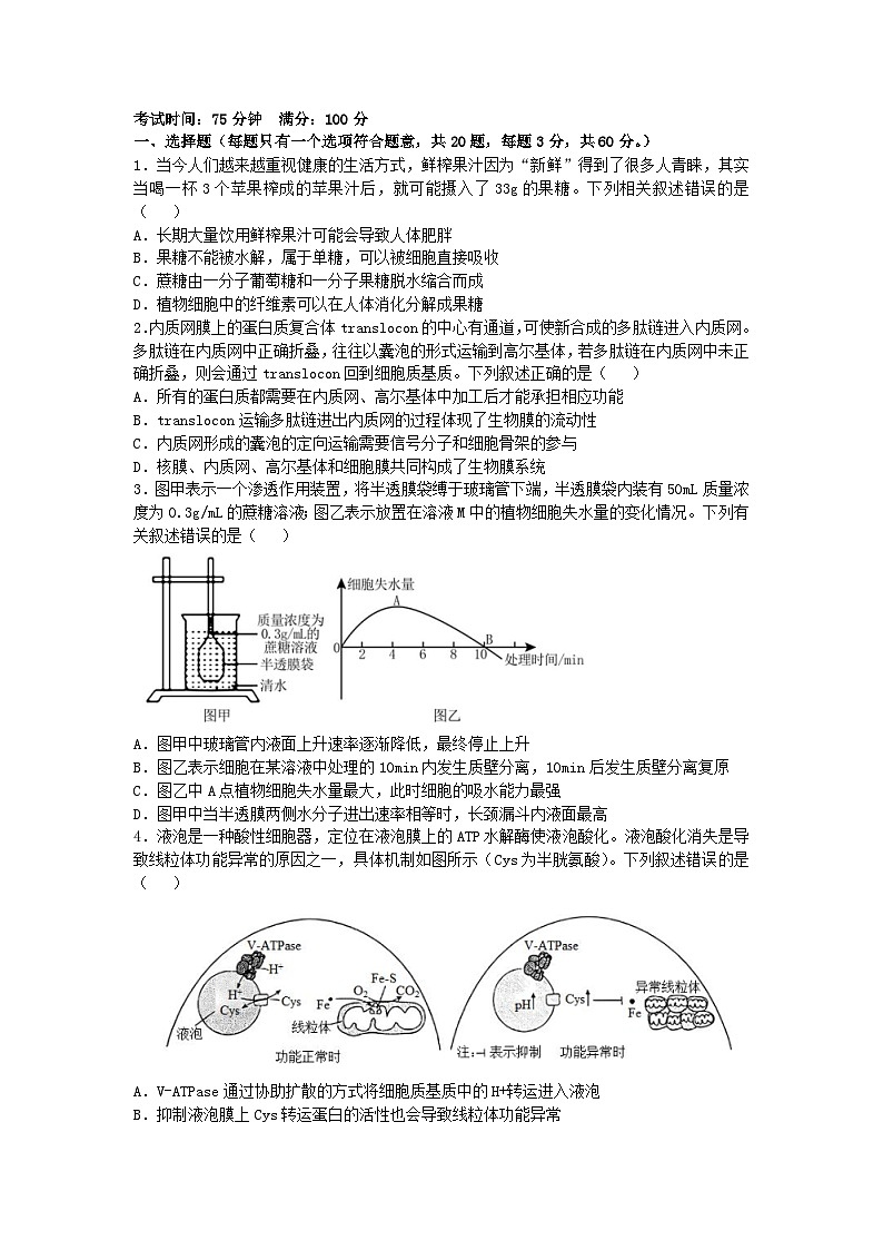 四川省成都市2024_2025学年高三生物上学期10月月考试题第1页