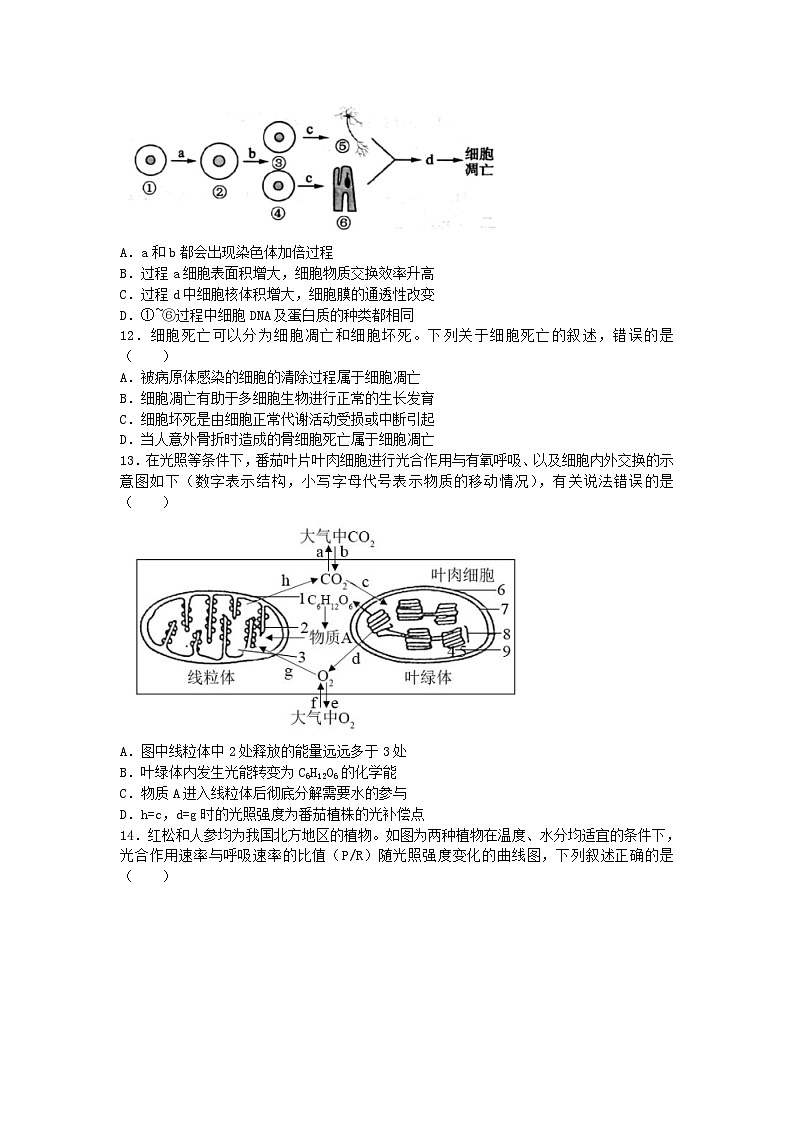 四川省成都市2024_2025学年高三生物上学期入学摸底测试试题第3页