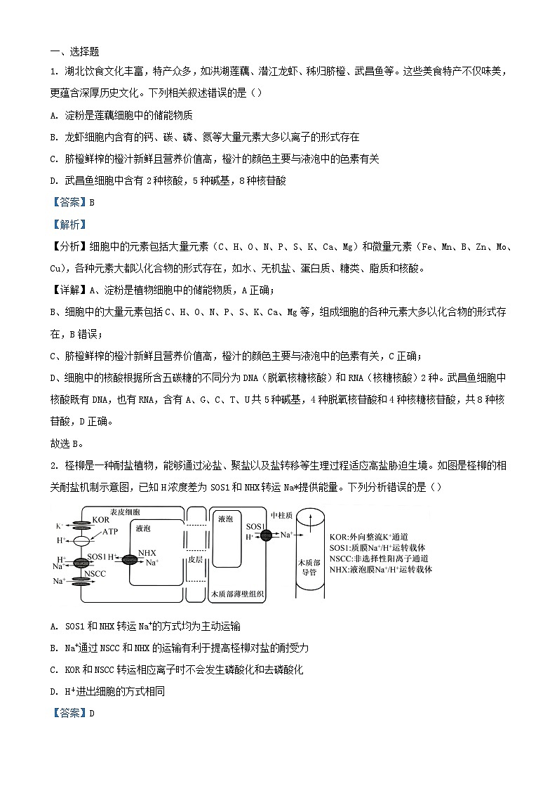 湖北省2024_2025学年高三生物上学期10月联考试题含解析第1页