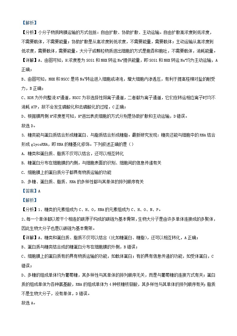 湖北省2024_2025学年高三生物上学期10月联考试题含解析第2页