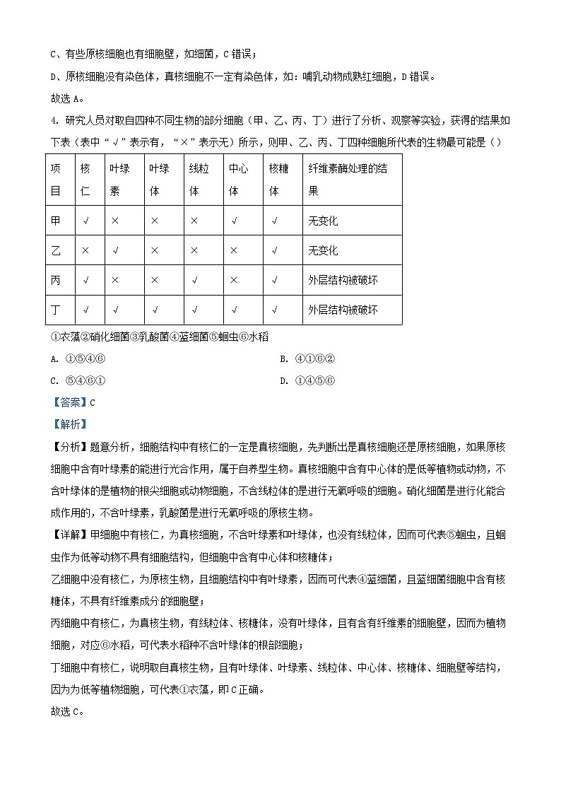 湖北省2024_2025学年高一生物上学期9月月考试题含解析第3页