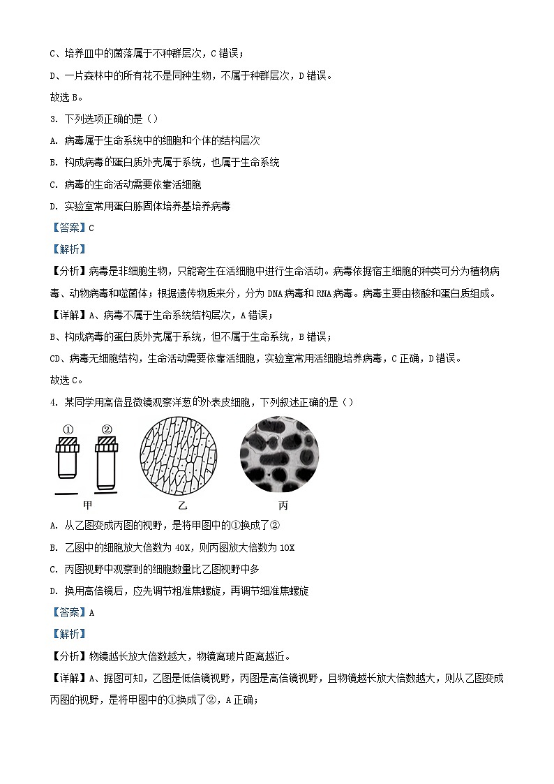 湖北省2024_2025学年高一生物上学期10月月考试题含解析第2页