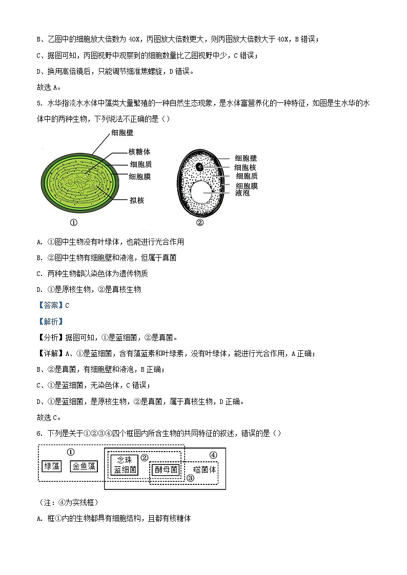 湖北省2024_2025学年高一生物上学期10月月考试题含解析第3页