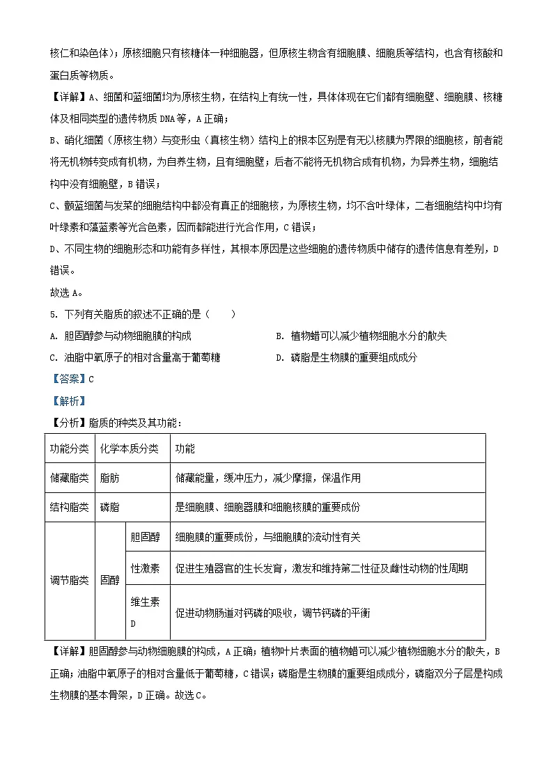 湖北省武汉市2024_2025学年高一生物上学期10月月考试题含解析第3页