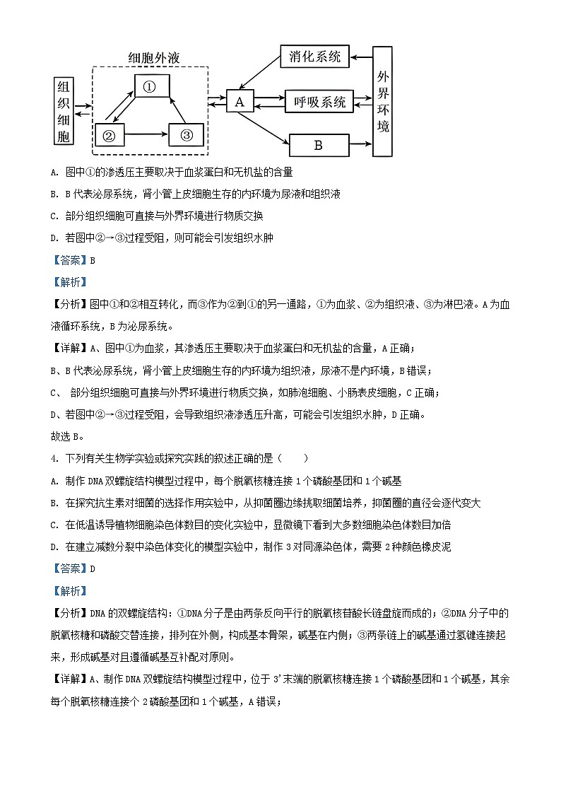 湖南省衡阳市2024_2025学年高二生物上学期第一次月考试题含解析第3页