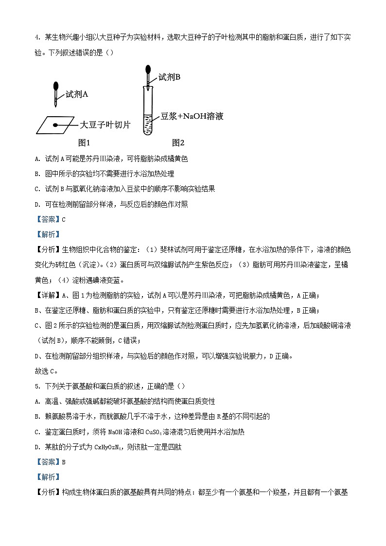 湖南省衡阳市衡阳县部分学校2024_2025学年高一生物上学期第一次月考试题A卷含解析第3页