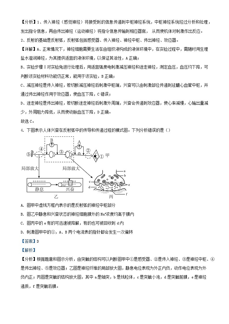 湖南省邵东市2024_2025学年高二生物上学期第一次月考试题含解析第3页