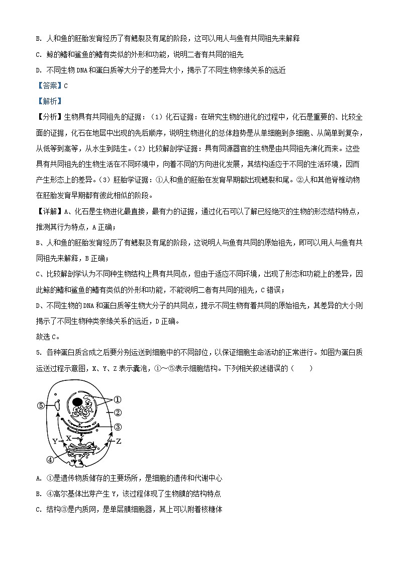湖南省岳阳市临湘市2024_2025学年高一生物上学期9月月考试题含解析第3页