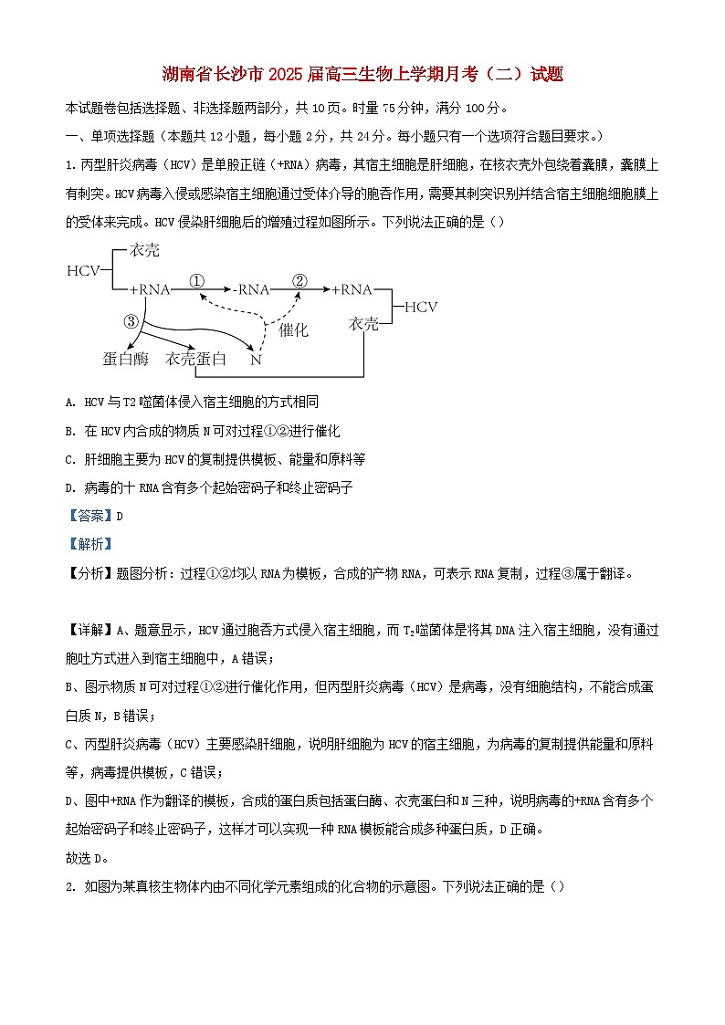 湖南省长沙市2025届高三生物上学期月考二试题含解析第1页