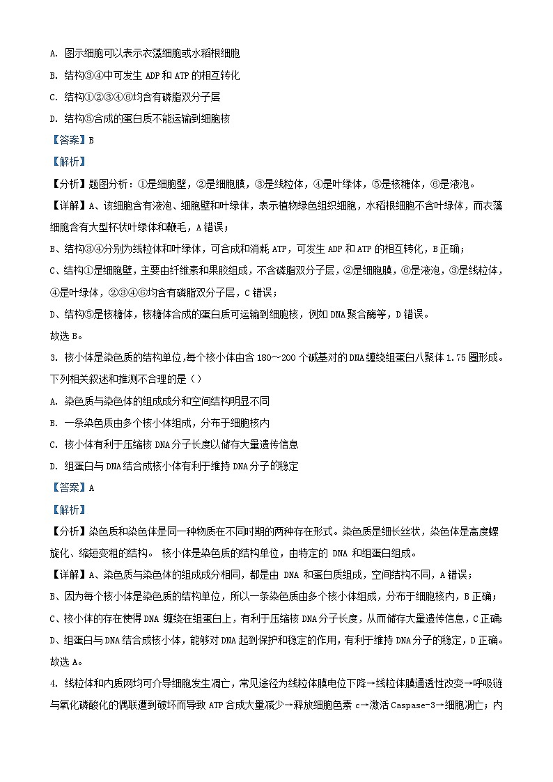湖南枢校联考2024_2025学年高二生物上学期10月月考试题含解析第2页
