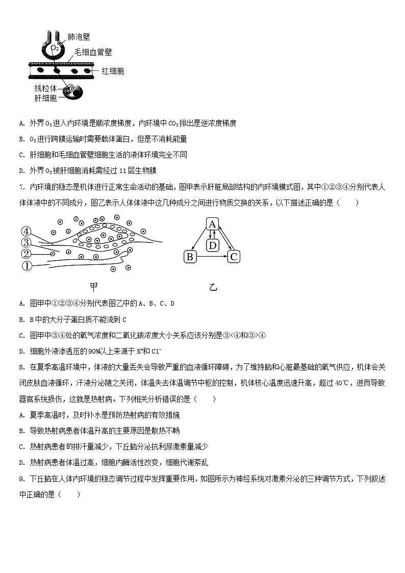 吉林省梅河口市2024_2025学年高二生物上学期9月月考试题第2页
