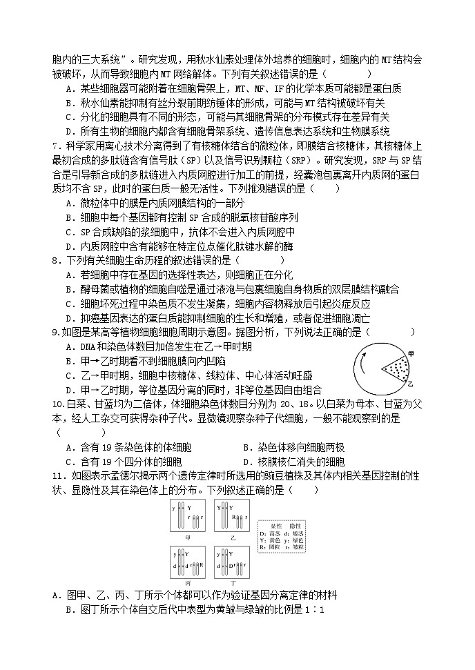 江苏省2024_2025学年高三生物上学期10月月考试题第2页