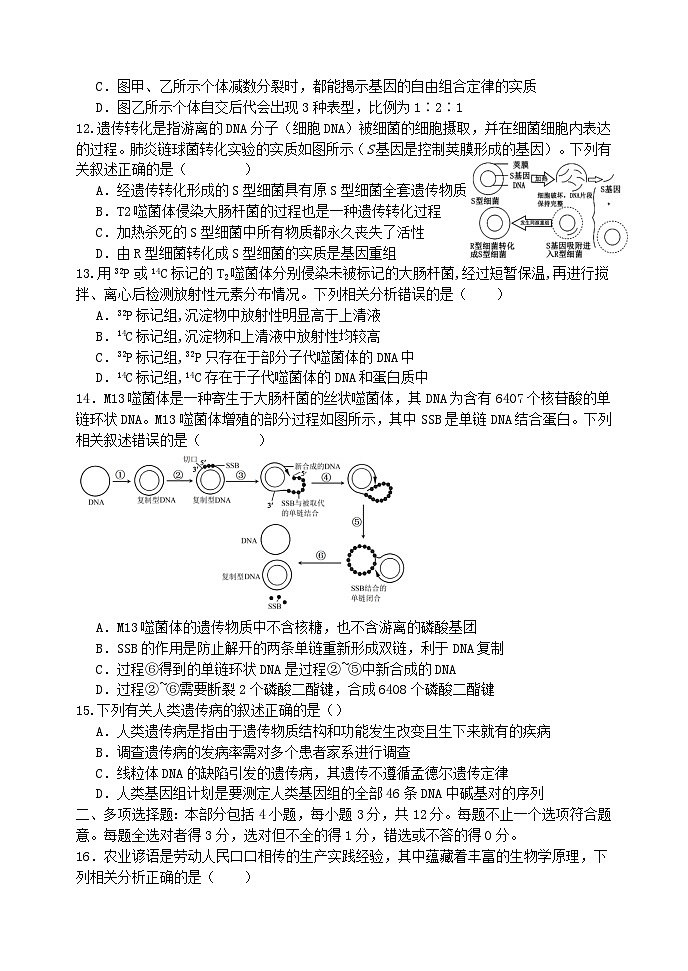 江苏省2024_2025学年高三生物上学期10月月考试题第3页