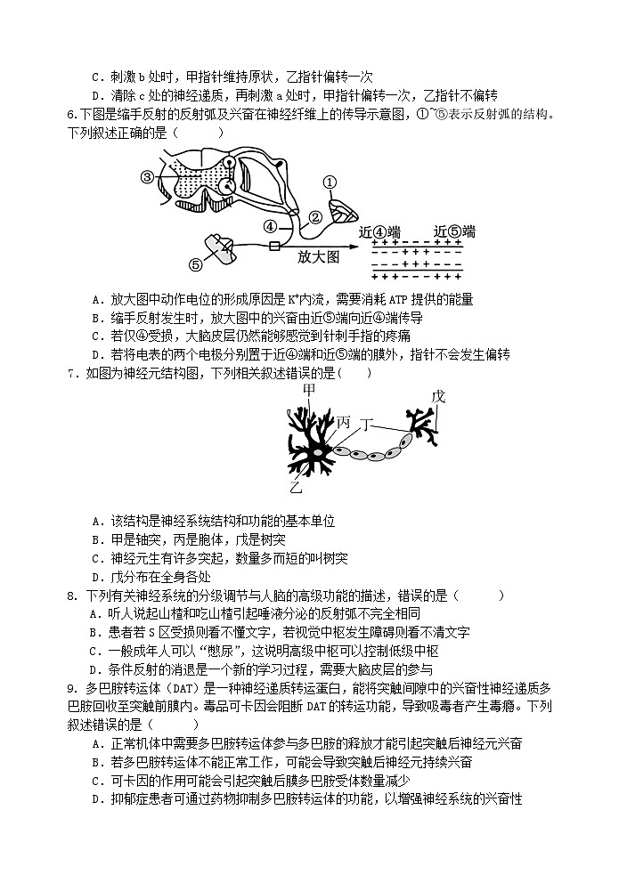 江苏省盐城市五校联考2024_2025学年高二生物上学期10月月考试题第2页