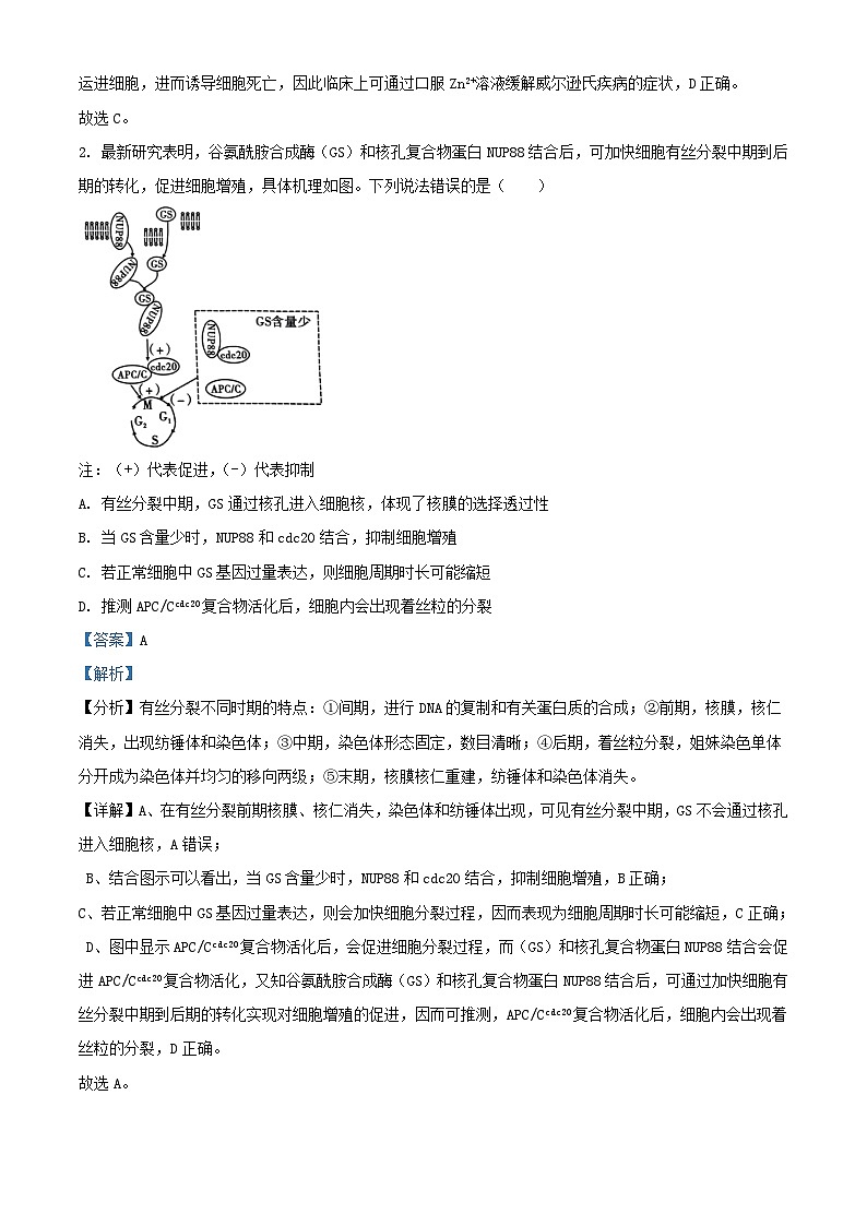 重庆市2024_2025学年高三生物上学期9月月考试题含解析第2页