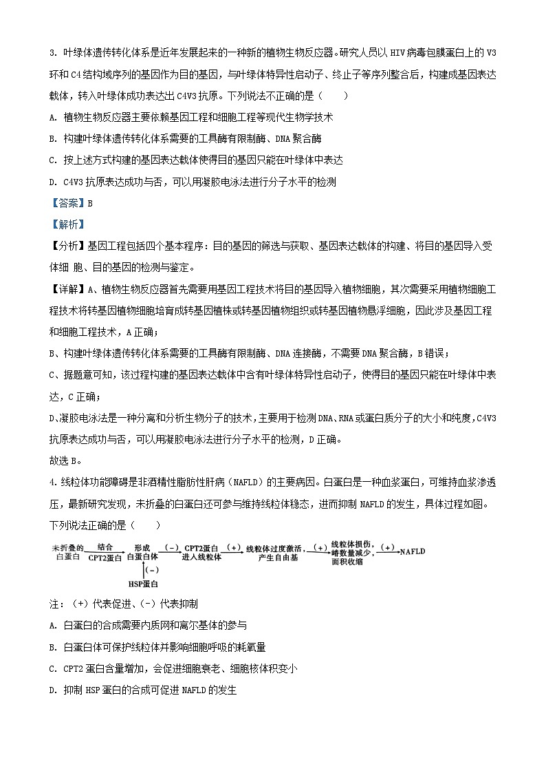 重庆市2024_2025学年高三生物上学期9月月考试题含解析第3页