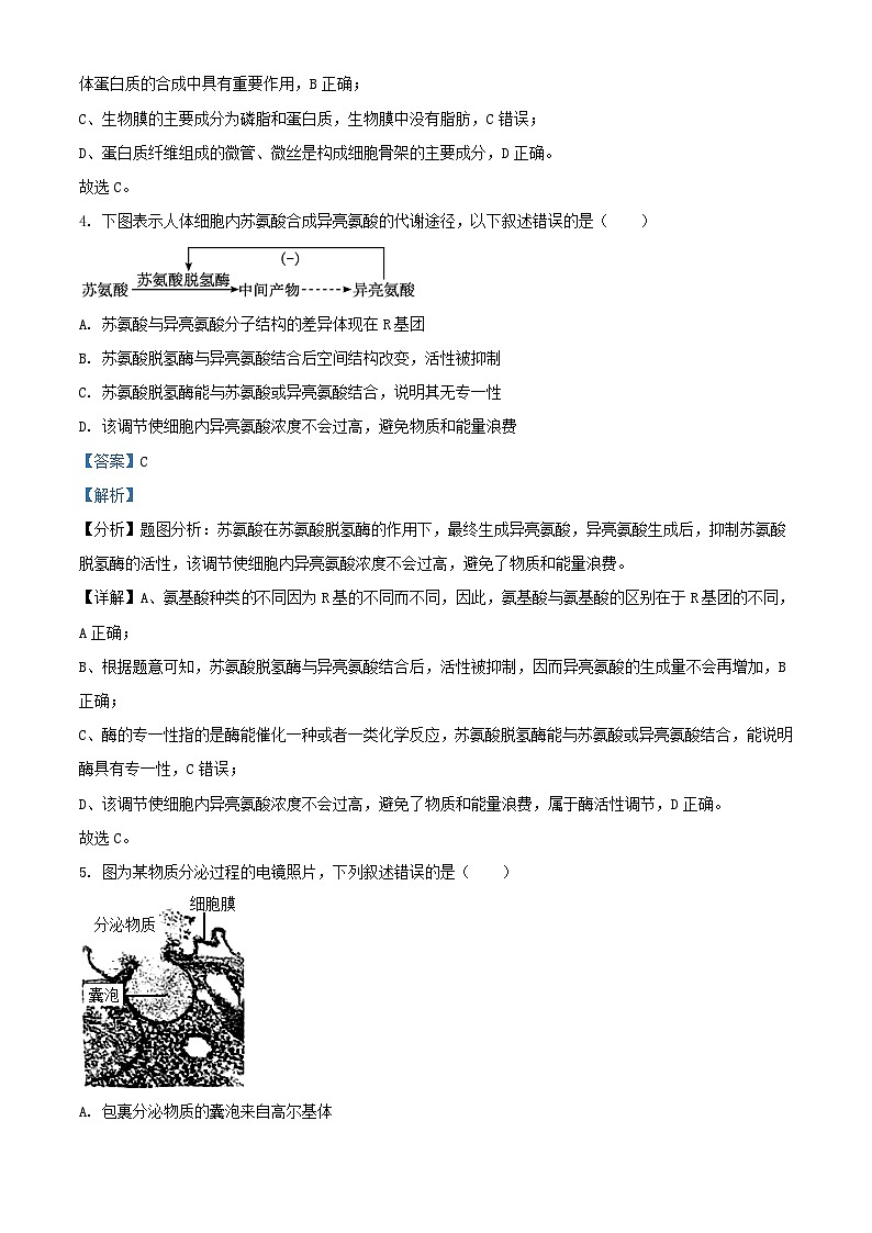 北京市2023_2024学年高一生物12月月考测试试题含解析第3页