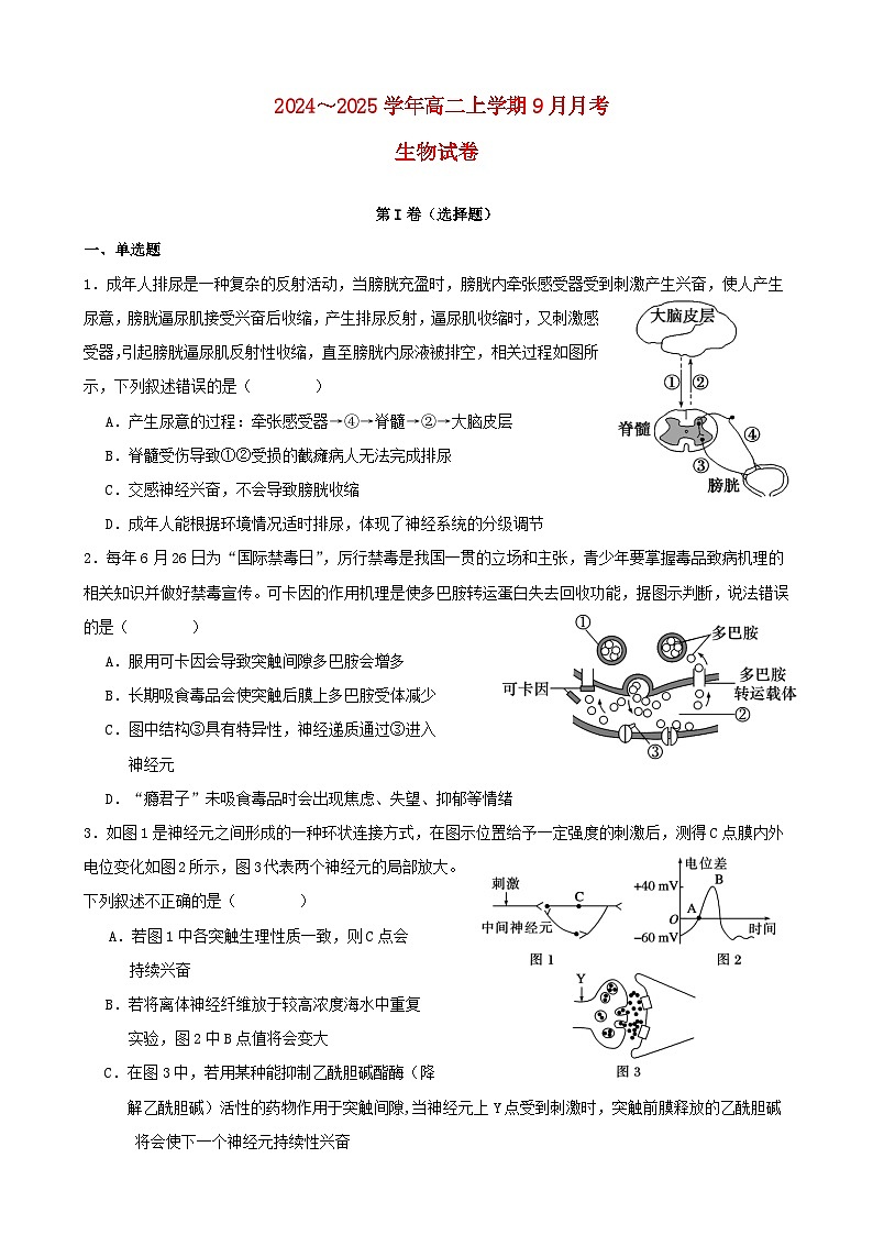 湖北省2024_2025学年高二生物上学期9月月考试题第1页
