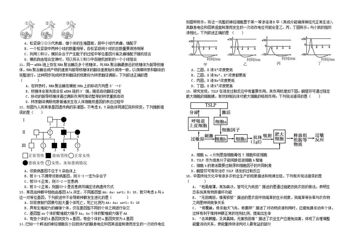 湖北省襄阳市2024_2025学年高三生物上学期9月月考试卷第2页