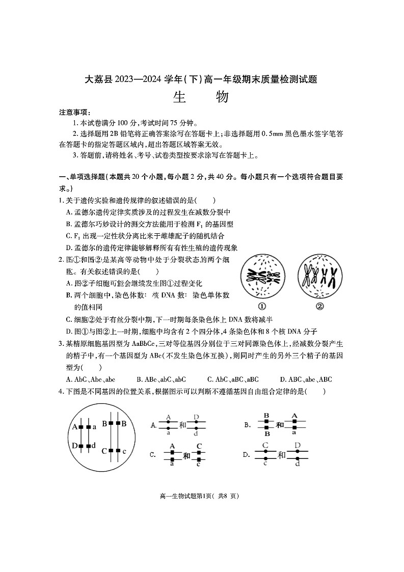 陕西省渭南市大荔县2023-2024学年高一下学期期末质量检测+生物第1页