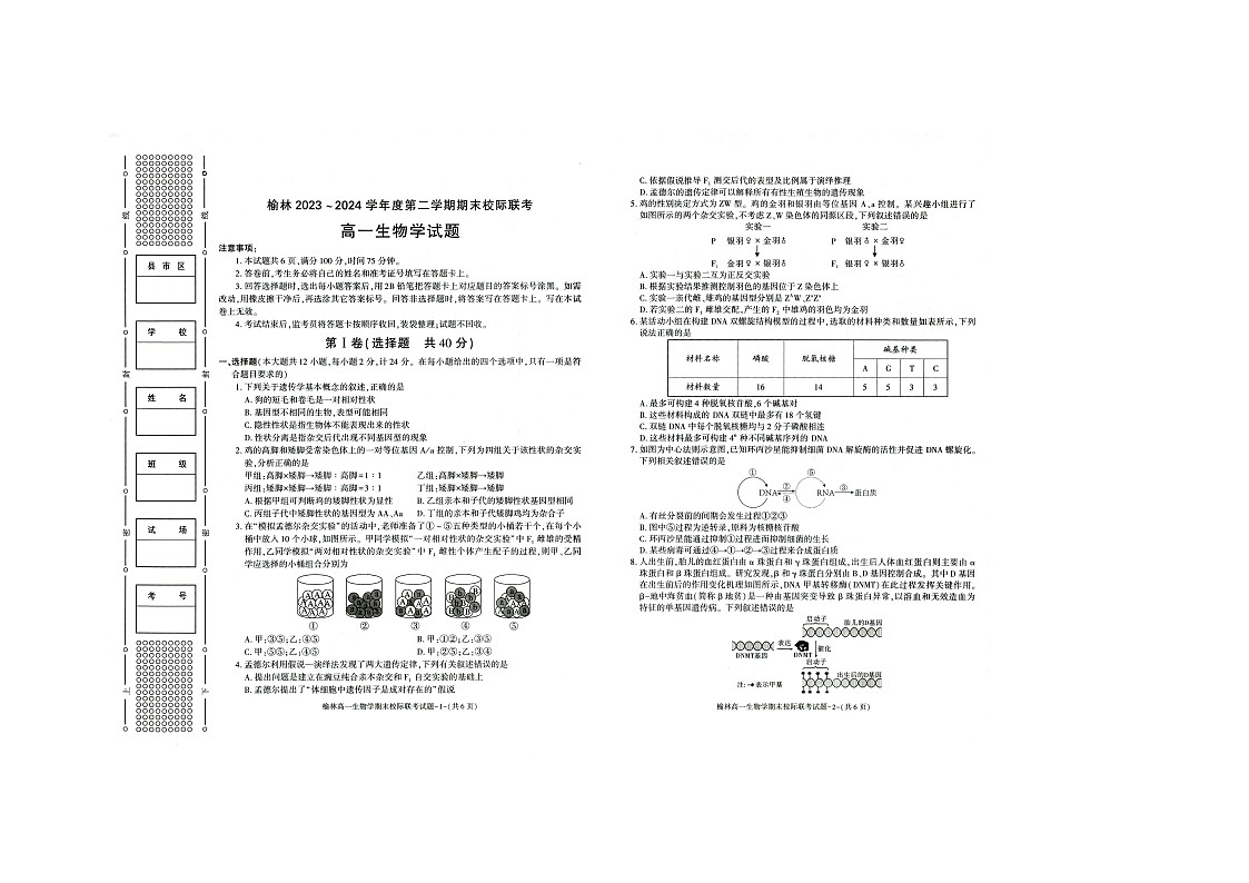 陕西省榆林市第十中学2023-2024学年高一下学期期末生物试题第1页