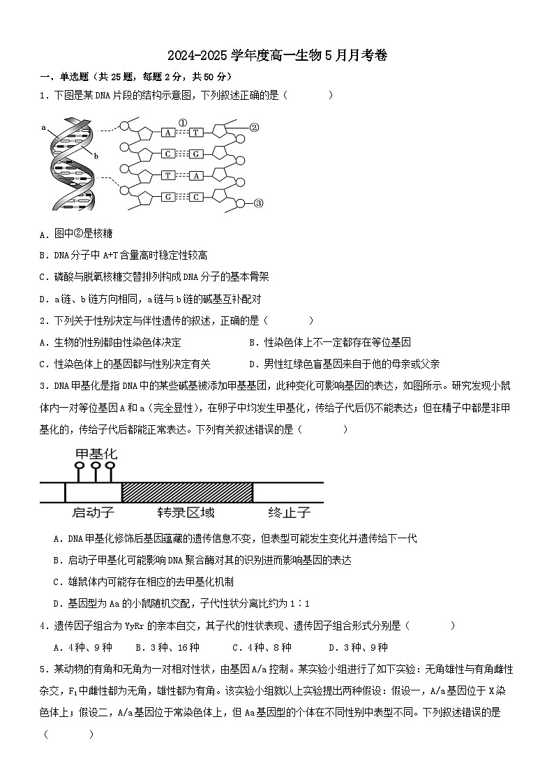 沧州市第二中学2024-2025学年度第二学期高一生物5月月考卷第1页