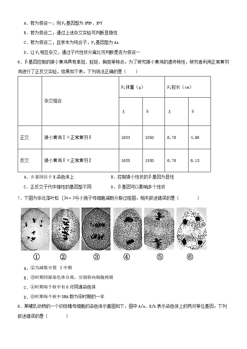 沧州市第二中学2024-2025学年度第二学期高一生物5月月考卷第2页