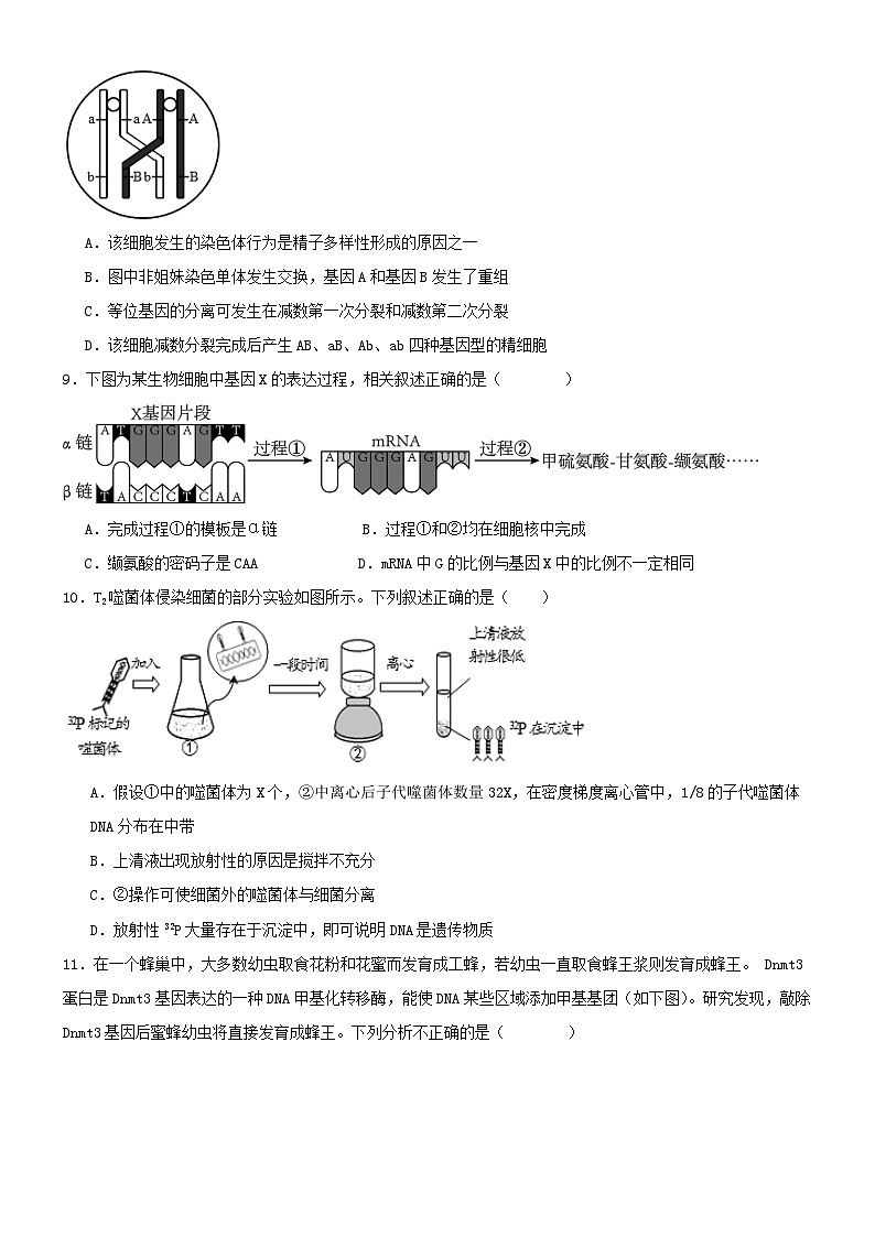 沧州市第二中学2024-2025学年度第二学期高一生物5月月考卷第3页