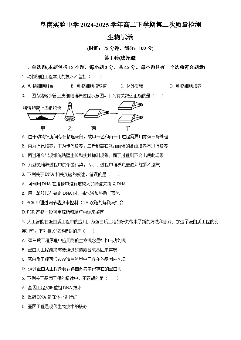 安徽省阜南实验中学2024-2025学年高二下学期5月期中考试生物试题第1页