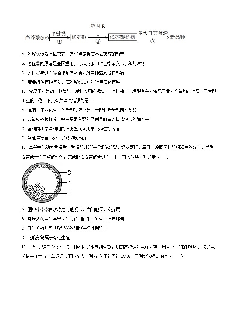 安徽省阜南实验中学2024-2025学年高二下学期5月期中考试生物试题第3页