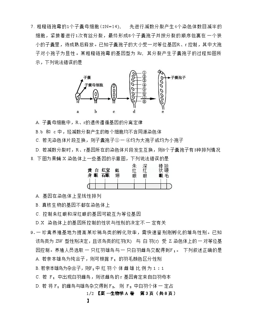 安徽省名校2024-2025学年高一下学期5月阶段性检测生物（A）试卷第3页