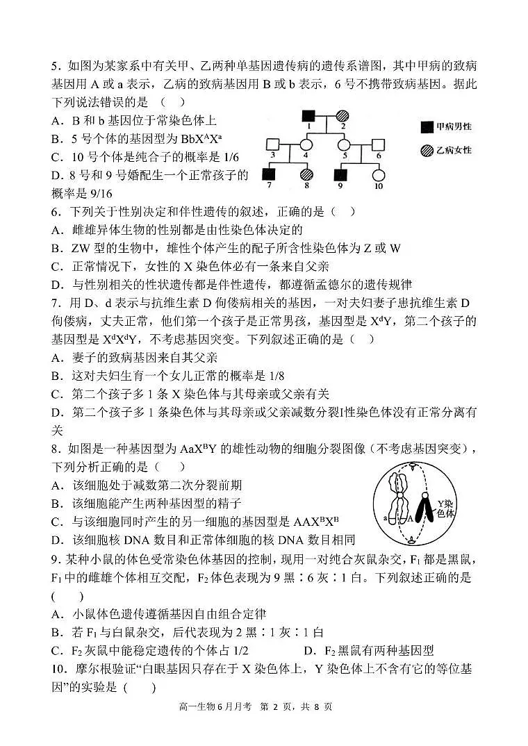 甘肃省张掖市某校2024-2025学年高一下学期6月月考生物试卷第2页