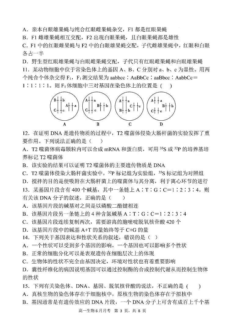 甘肃省张掖市某校2024-2025学年高一下学期6月月考生物试卷第3页