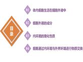 1.1 細(xì)胞生活的環(huán)境（教學(xué)課件）-2025-2026學(xué)年高中生物選擇性必修1（人教版2019）