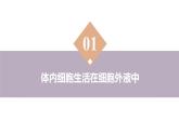 1.1 細(xì)胞生活的環(huán)境（教學(xué)課件）-2025-2026學(xué)年高中生物選擇性必修1（人教版2019）