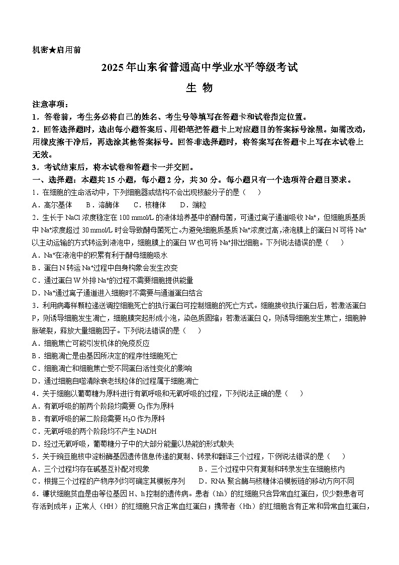 2025年高考真题——生物（山东卷） 无答案第1页