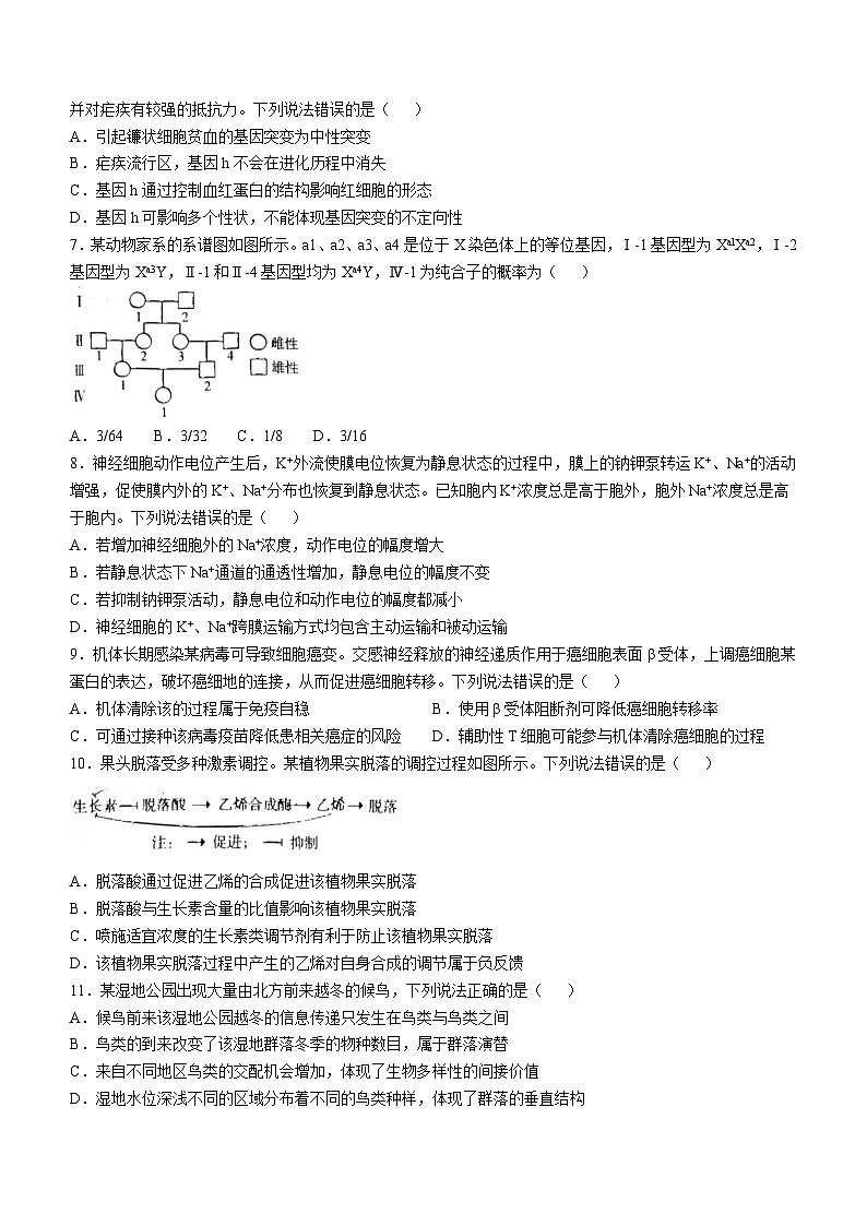 2025年高考真题——生物（山东卷） 无答案第2页