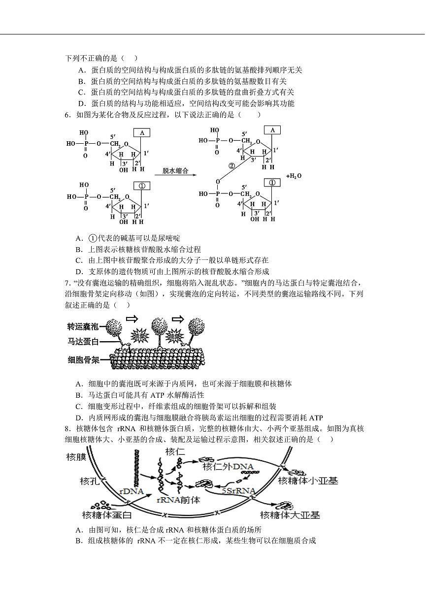 生物-湖南省邵阳市第二中学、邵东一中等校联考2024-2025学年高一下学期5月诊断性测试试题和答案第2页