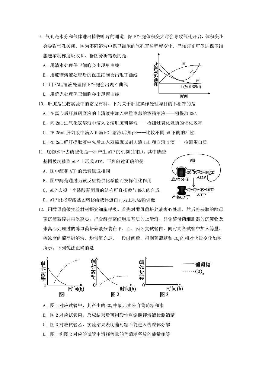 生物-山东省济宁市邹城市第一中学2024-2025学年高二下学期5月月考试题和答案第3页