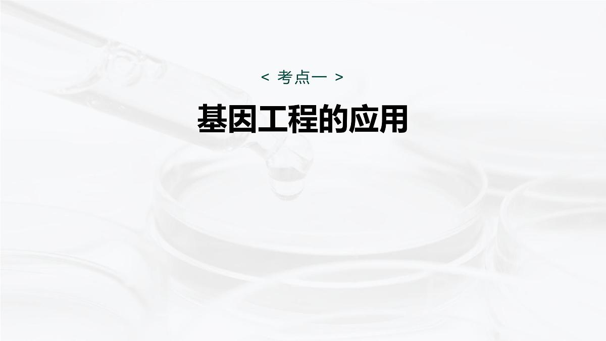 第十单元　第55课时　基因工程的应用、蛋白质工程第5页