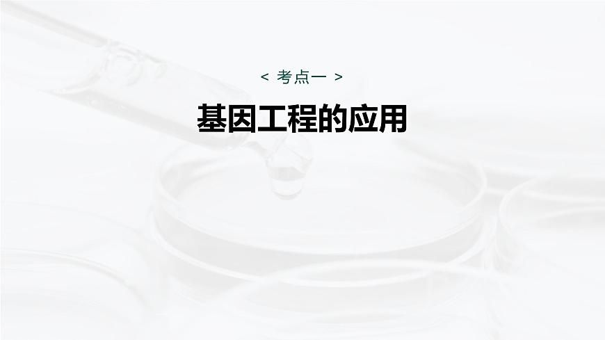 第十单元　第55课时　基因工程的应用、蛋白质工程第5页